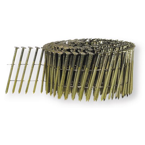 Cuie bandă 2,5x50 ZI